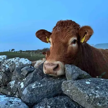 Idyllic, 5 Star Family With Panoramic Views, On The Wild Atlantic Way 度假居 金瓦拉