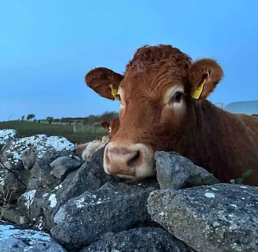 Idyllic, 5 Star Family With Panoramic Views, On The Wild Atlantic Way Сasa de vacaciones Kinvara